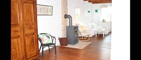 TV, fireplace, books