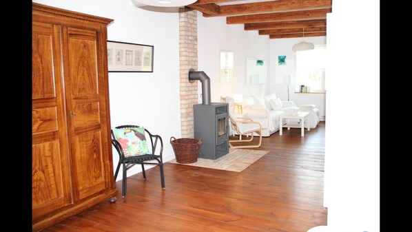 Televisión, chimenea y libros 