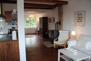 Tv, eldstad och böcker