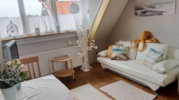 Televisio, DVD-soitin, kirjoja, videokirjasto