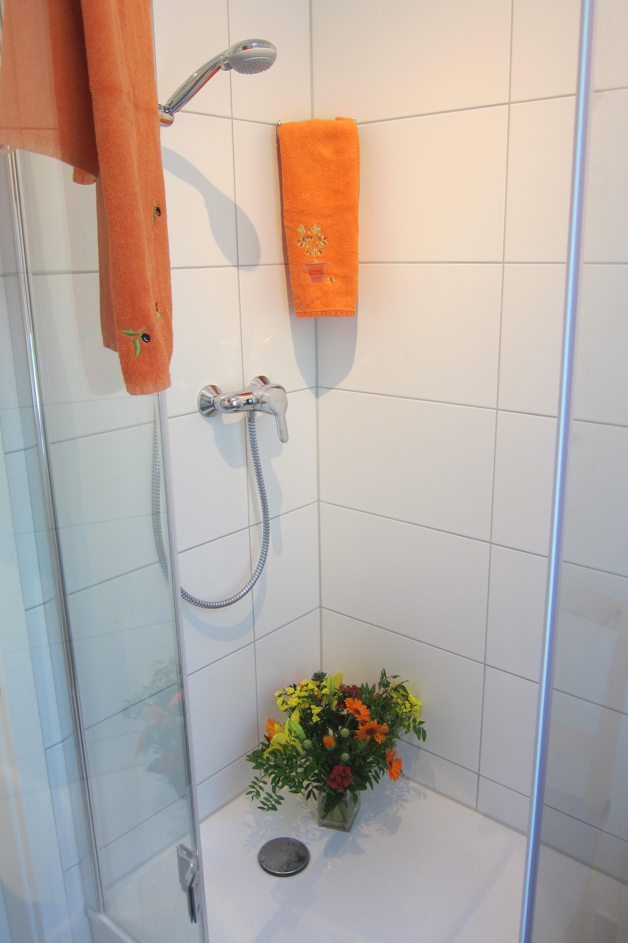 Ein Duschbereich mit Glastür, einer Handbrause, einem Handtuchhalter mit Handtuch und einer kleinen Blumenanordnung auf dem Boden.