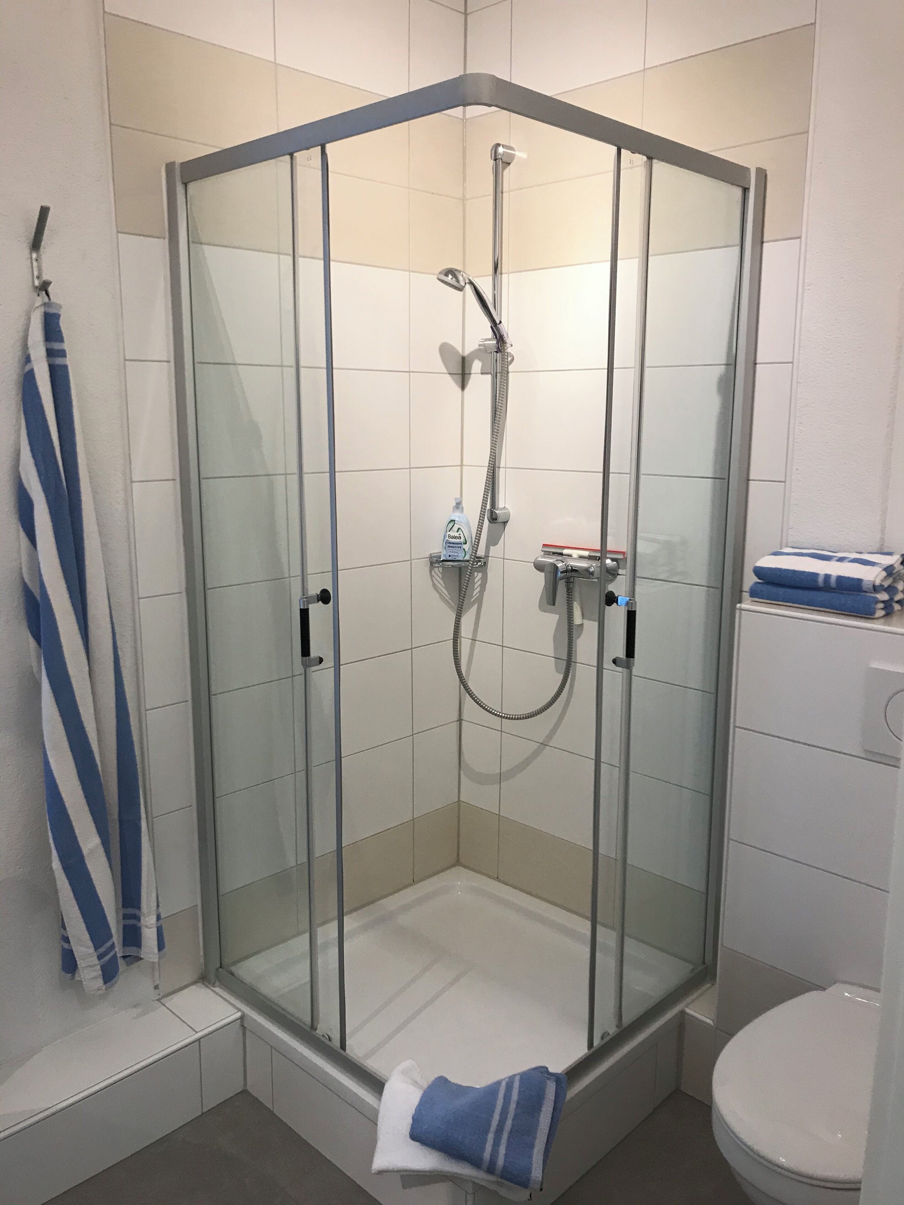 Dusche, Haartrockner, Handtücher, Seife