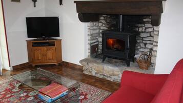 TV, lareira, DVD player