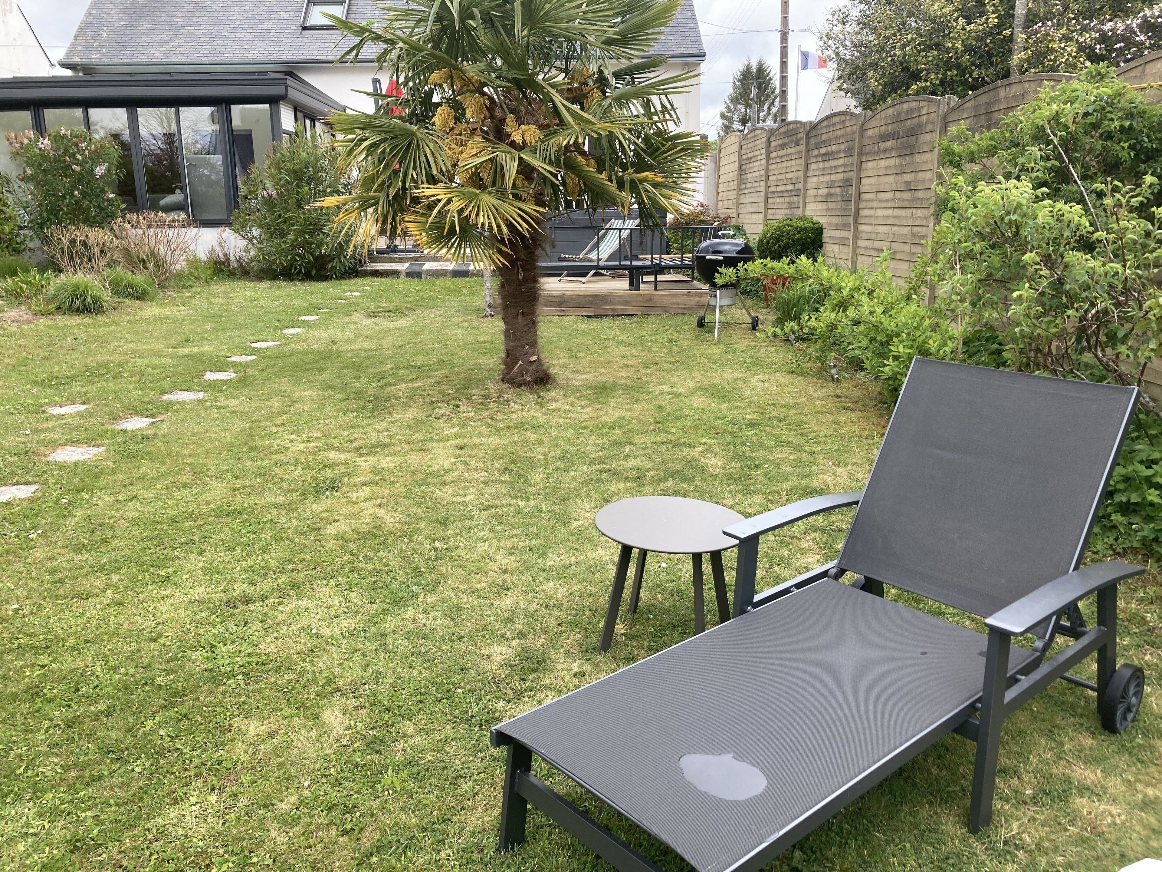 A grassy backyard with a lounge chair, a small table, and a palm tree.