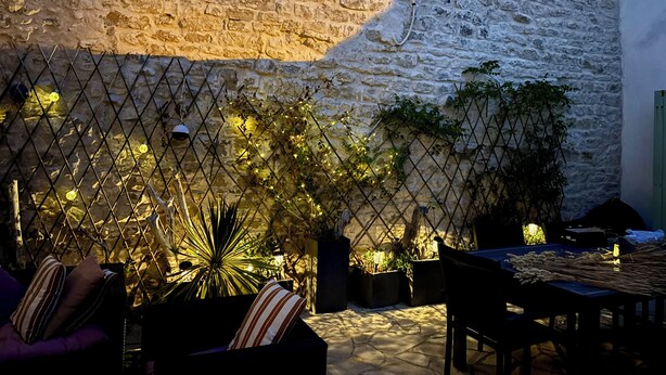 A stone wall, a metal fence, and potted plants in an outdoor setting.