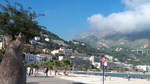 A coastal promenade with a large tree, beach, and buildings in the background. - --- Beachfront Studio ---- (Menton)