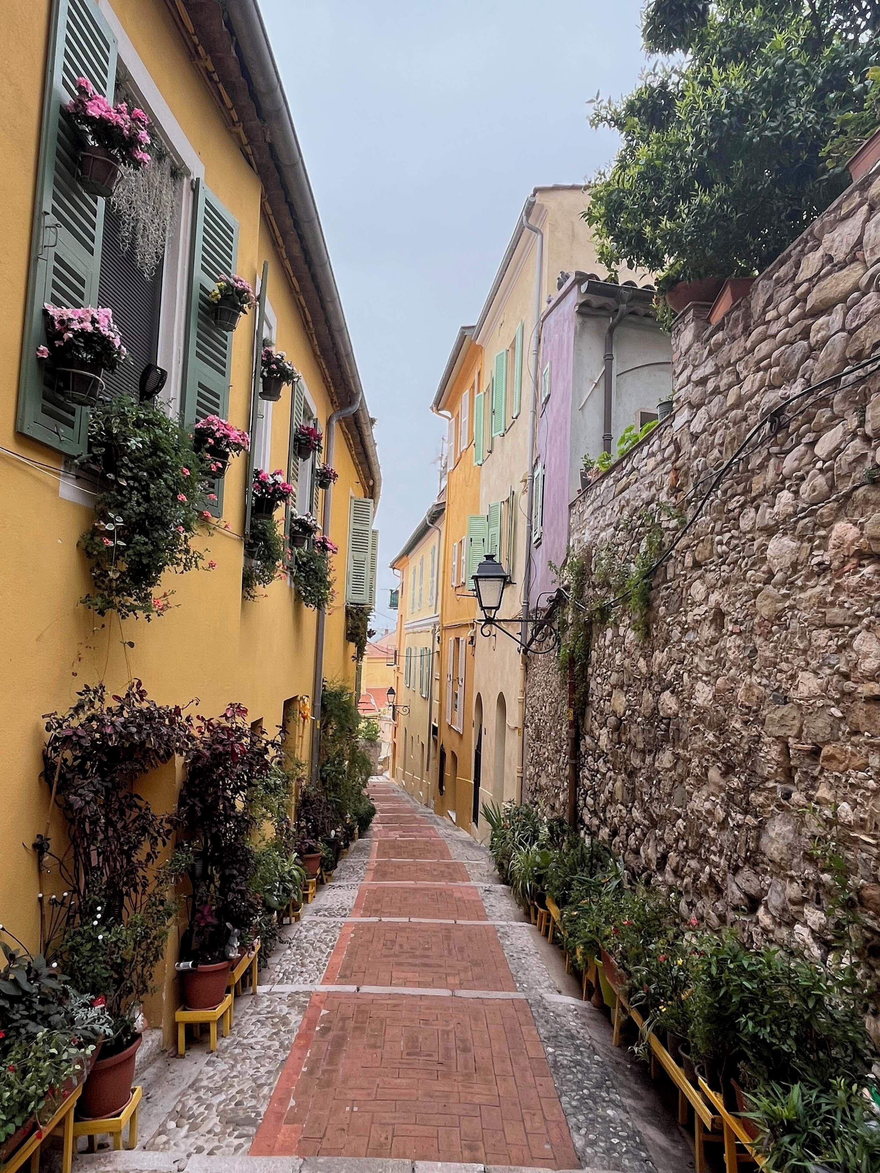 A narrow cobblestone street flanked by buildings with green shutters and potted plants.