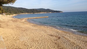 Una spiaggia con una riva sabbiosa, un molo di legno e una collina boscosa sullo sfondo.