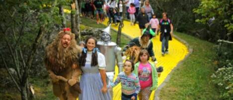 A group of people in costumes on a yellow path surrounded by greenery.