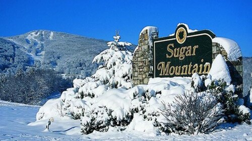 Cozy Log Cabin With Hot Tub - Pet Friendly 