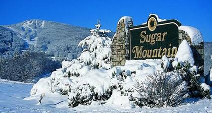 Kodikas hirsimökki, jossa poreallas - Lemmikkiystävällinen