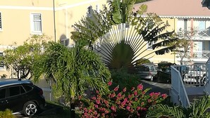 A residential area with parked cars, a yellow building, and lush greenery including a flowering tree. - STUDIO ANSE MITAN TROIS ILETS MARTINIQUE (Trois Ilets)