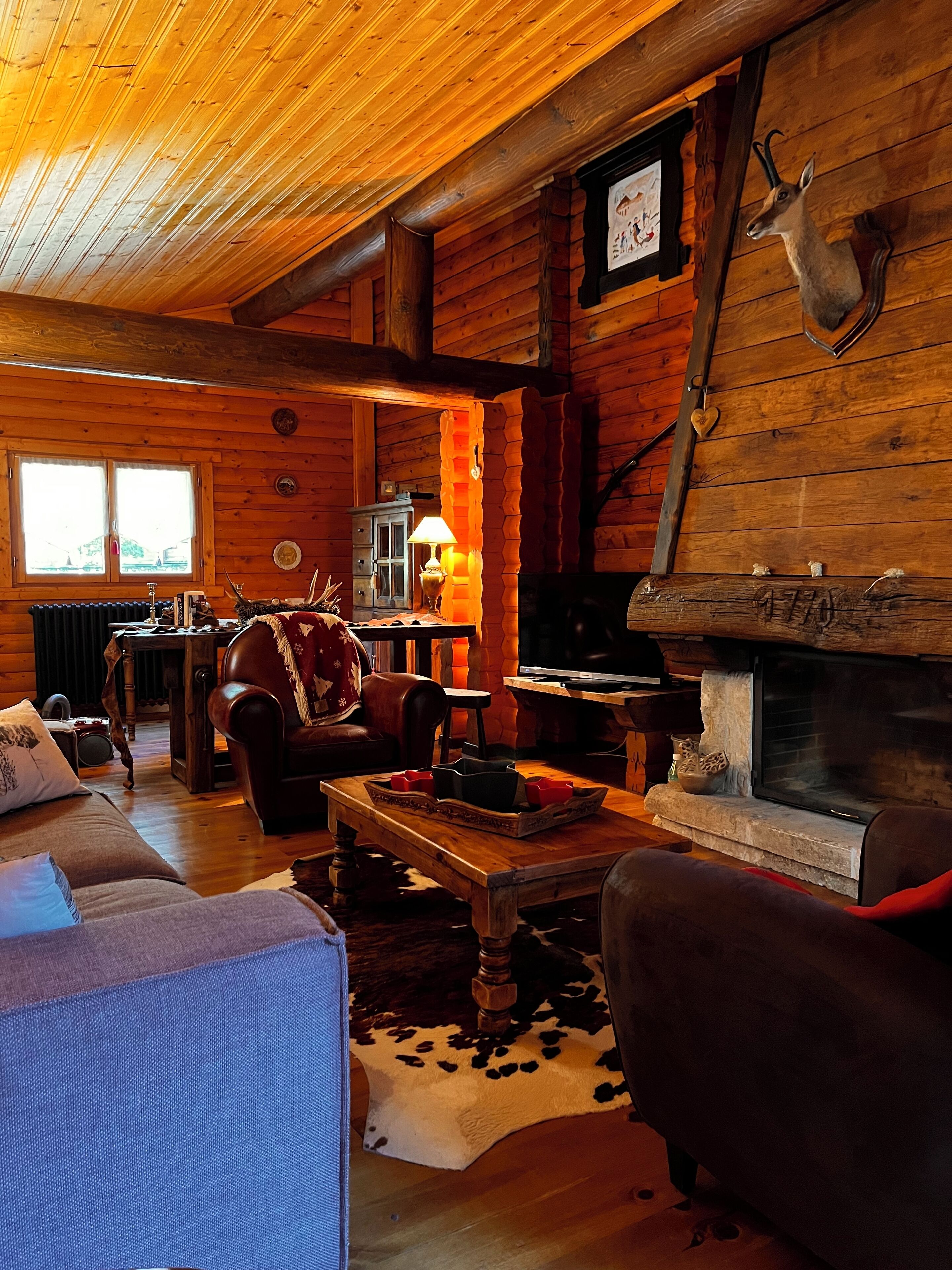 Télévision, cheminée, espaces bureaux