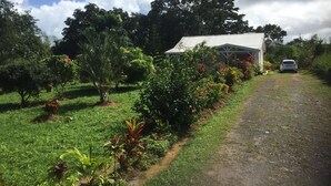 Un paisaje rural con un sendero de tierra que lleva a un edificio blanco de techo metálico, rodeado de exuberante vegetación y árboles.