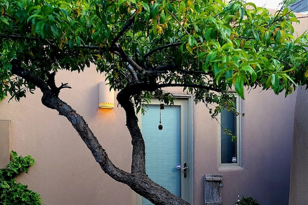 The Rose Casita Front door