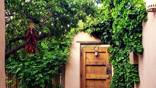 Une porte en bois rustique, fermée par un cadenas, entourée d’une végétation luxuriante et d’une clôture en bambou.