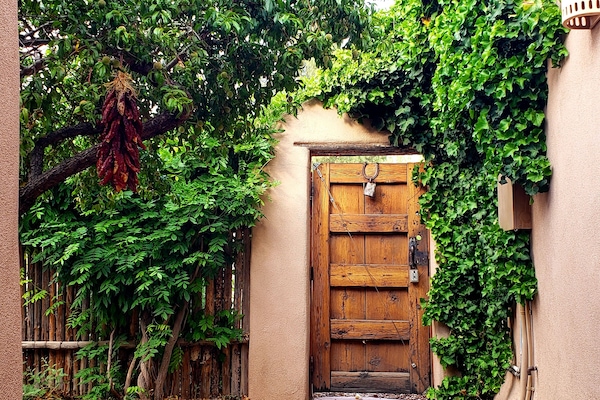 Inside: Peach , Ivy and Wisteria