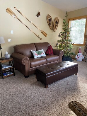 Smart TV, DVD player, video library