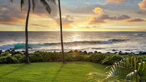 Sonnenuntergang über dem Meer mit Palmen und einer grünen Fläche im Vordergrund.