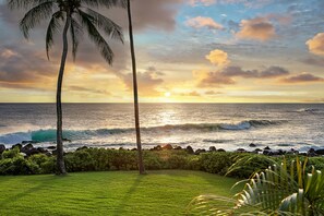 On the beach - Hale Ohana - Beachfront Premier Home with Privacy and Direct Beach Access! (Koloa)