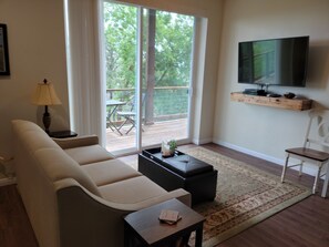 Smart TV, DVD player, video library