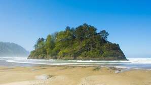 A sandy beach with a forested island in the background.