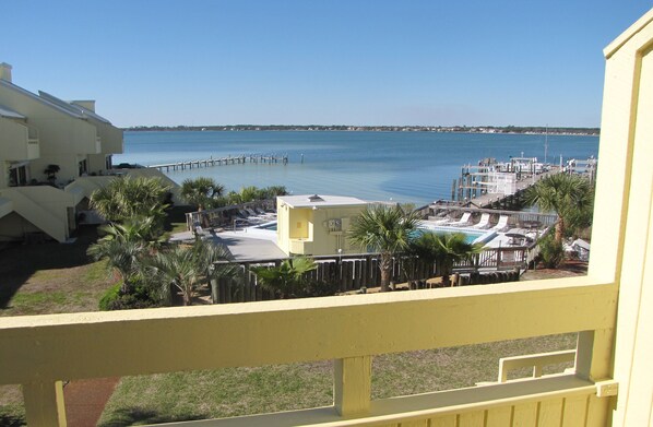 Vista de una propiedad frente al agua con piscina, palmeras y un muelle que se adentra en el agua.