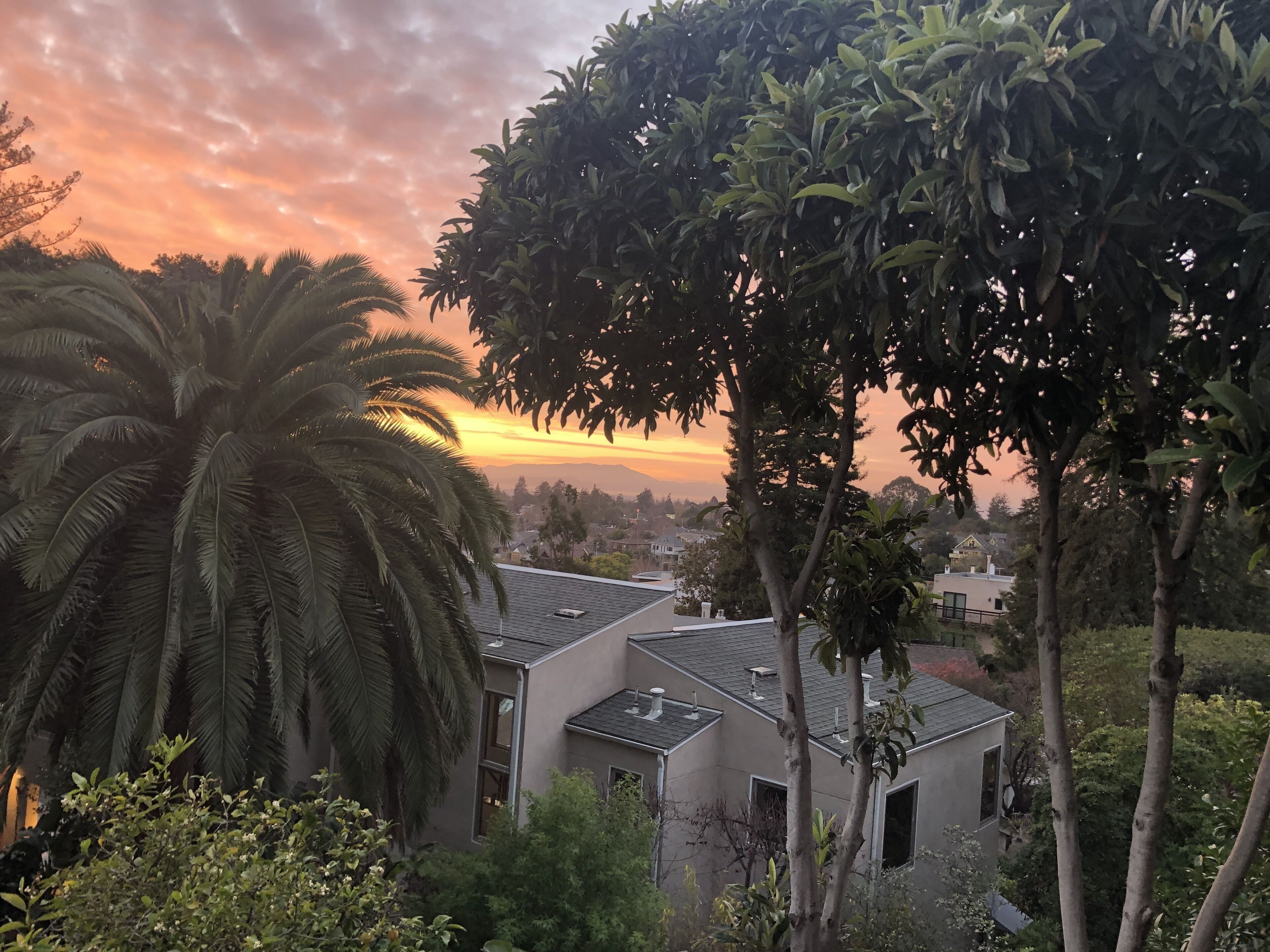 Vintage Upper Rockridge Gem 