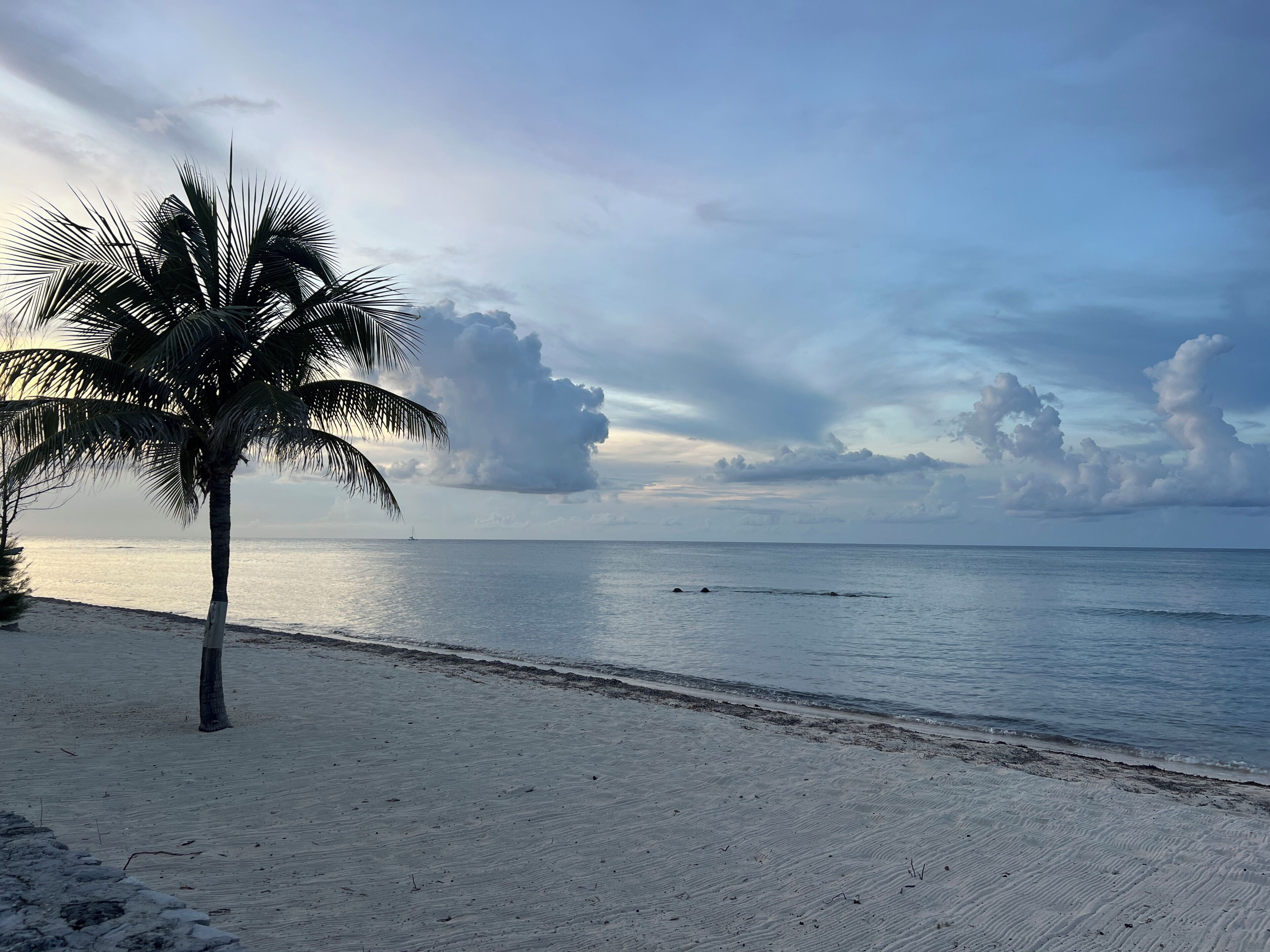 Private beach, sun loungers, beach towels