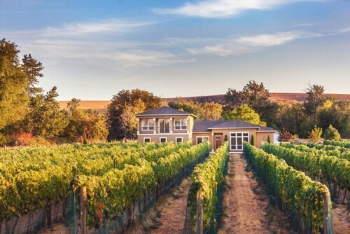 Vineyard View Estate · Vineyard View Estate