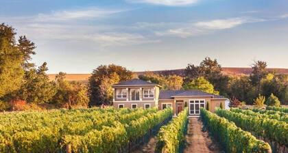 Vineyard View Estate · Vineyard View Estate