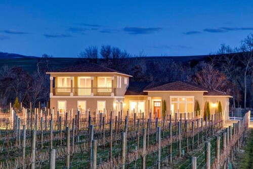 Vineyard View Estate · Vineyard View Estate