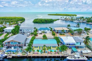 Unclassified image, 2 of 43, button