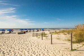 On the beach
