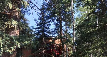 Bear Paw Haven-nestled in the trees. Pet & family friendly. HOT TUB, Free WiFi