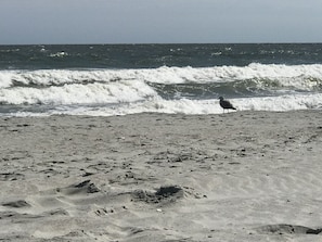 Plage à proximité, chaises longues