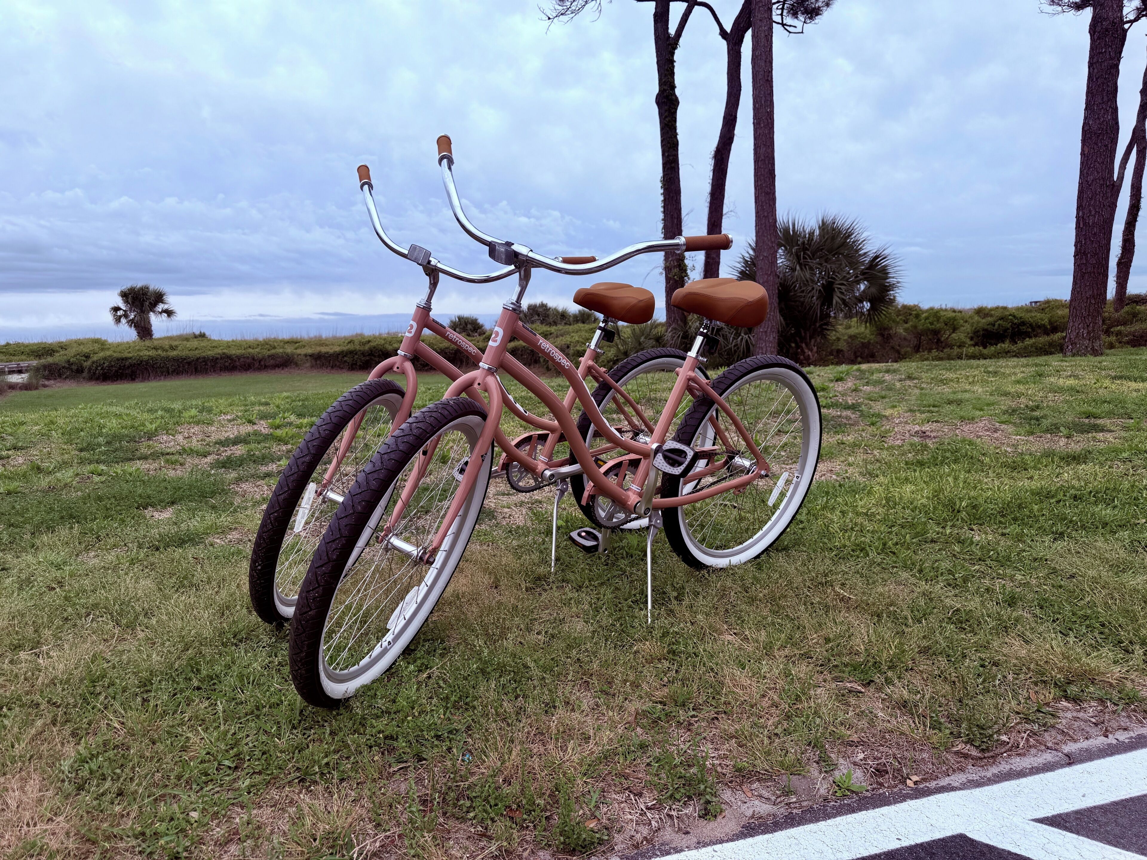 A bicycle parked on grass with a white line in the background.