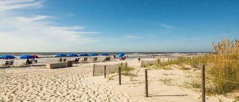 A sandy beach with blue umbrellas and lounge chairs.