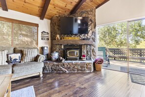 Televisión, chimenea y reproductor de DVD