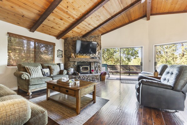 Televisión, chimenea y reproductor de DVD