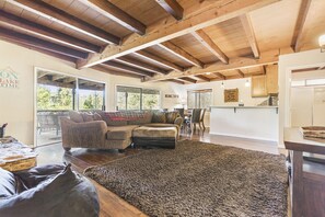 Televisión, chimenea y reproductor de DVD