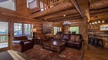 TV, fireplace, DVD player, video library