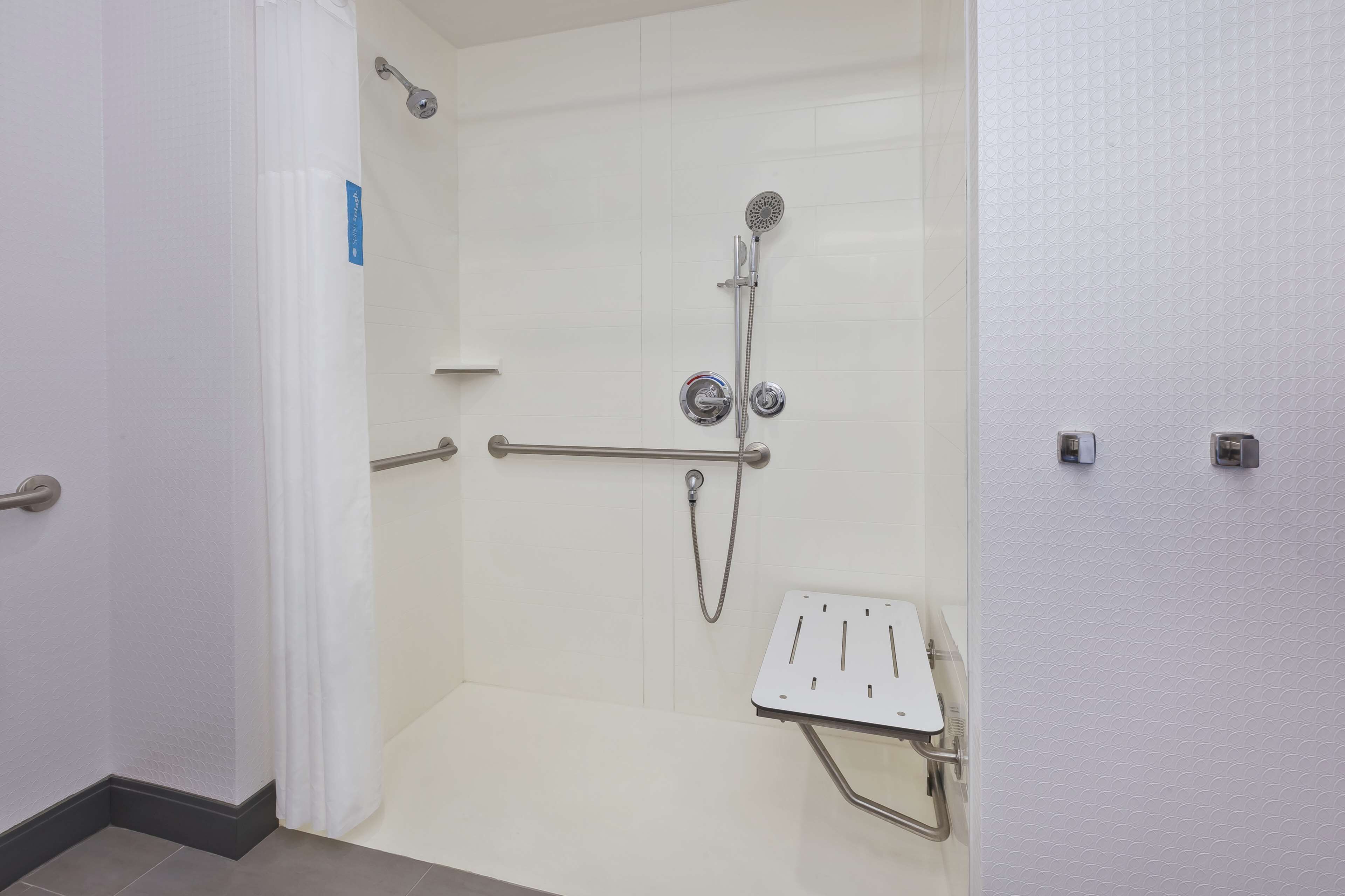 room, 1 king bed, accessible, bathtub (mobility & hearing) | bathroom shower