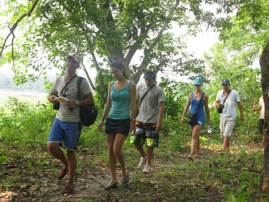 A group of people walking in a forested area.