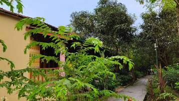 Premium bedding, down duvets, in-room safe, individually decorated