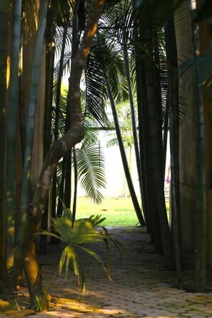 Property grounds - Rhino Land Jungle Lodge (Sauraha)