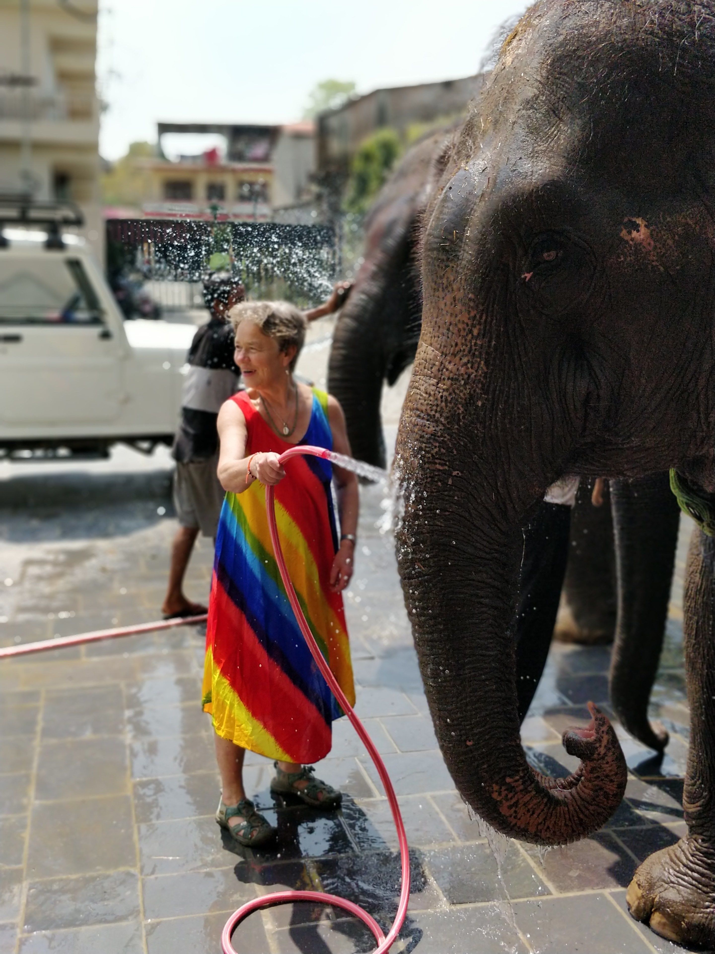 Una persona con un vestido colorido interactúa con un elefante sobre una superficie pavimentada.