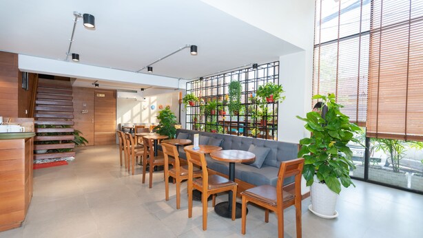 A modern cafe with wooden furniture, a grey sofa, and a variety of potted plants. - 7 Days Premium Hotel (Phnom Penh)