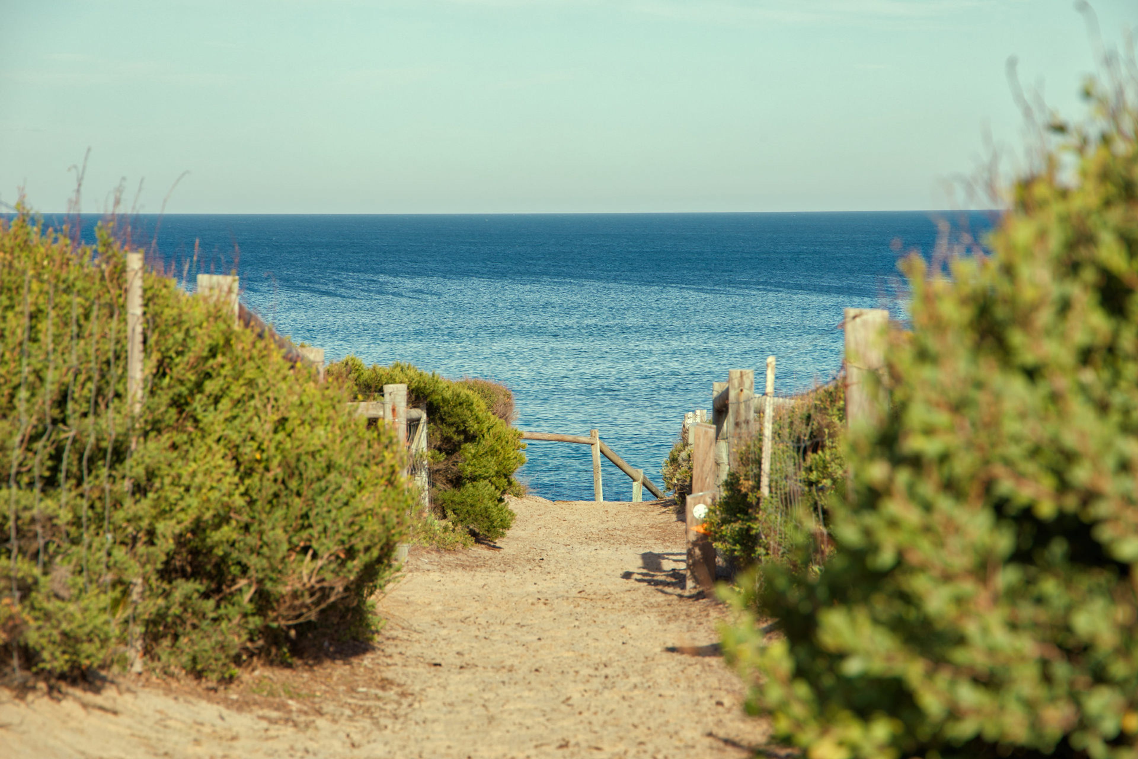 A dirt path leading to a wooden gate overlooking a body of water.