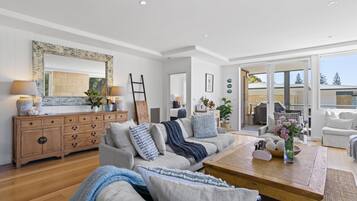 Télévision, cheminée, lecteur de DVD, chaßne hi-fi